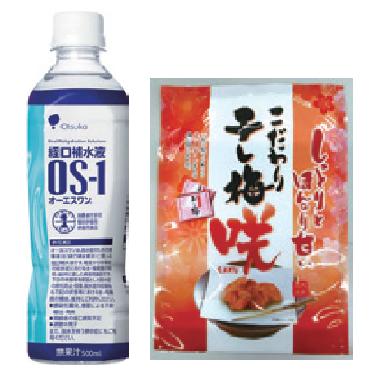 4,147円(税込)】サントリー DAKARA PRO 500ml 24本 | おすすめ