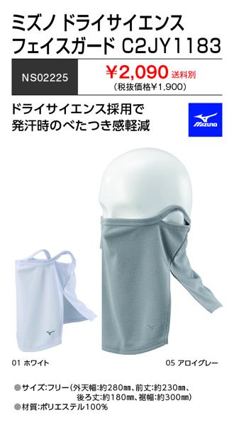 A23】覚醒ノエシス / 少女病　アナザージャケット付き 中古】同人音楽CDソフト 覚醒ノエシス[Another Jacket付] / 少女